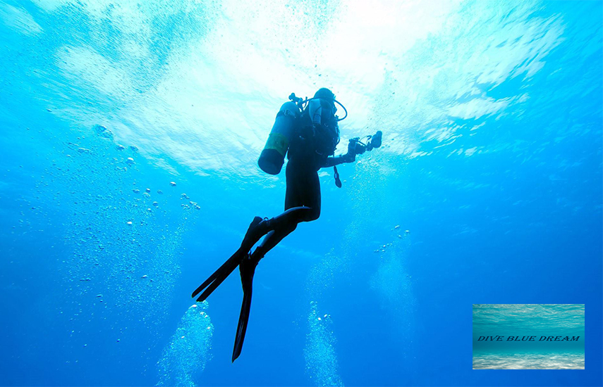 39,9€ από 70€ για Κατάδυση Γνωριμίας (Scuba Diving), Υποβρύχια Φωτογράφιση, Σνακ, Αναψυκτικά & Full extra, από τη Σχολή ''Dive Blue Dream'' στα λιμανάκια της Βάρκιζας