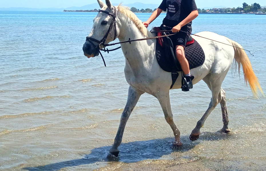 60€ από 110€ για 1 αξέχαστη βόλτα με άλογο στη θάλασσα, διάρκειας 1 ώρας, μαζί με φωτογράφηση, Μια ξεχωριστή εμπειρία με άλογο στη θάλασσα, από τον ''Όμιλο Ιππικής Αντοχής'', στην Αυλώνα